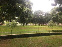 Blk 109 Hougang Avenue 1 (Hougang), HDB 3 Rooms #587355031